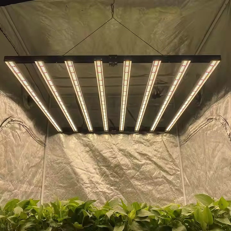 WEED TODD LS800W Bloom Beam LED Grow Light