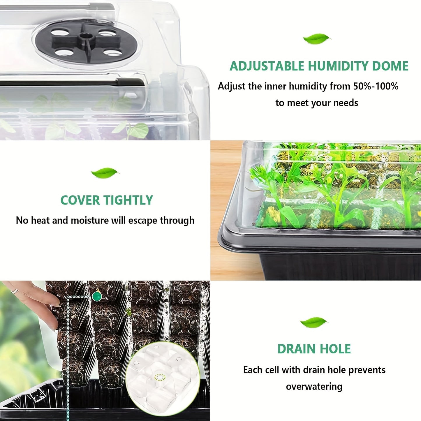 40-Cell Cannabis Seed Germination Kit with Grow Lights