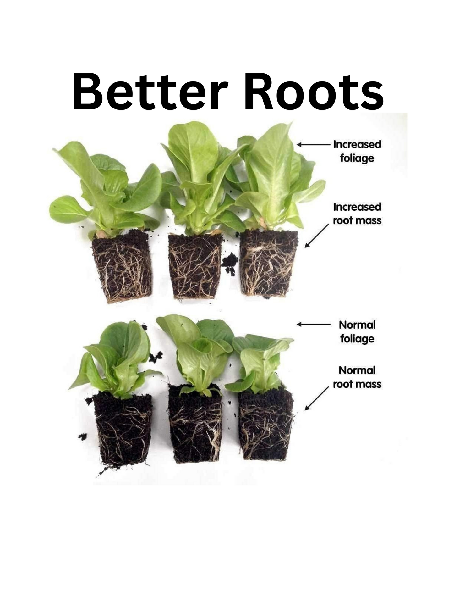 50-Pack Seed Starter Plugs