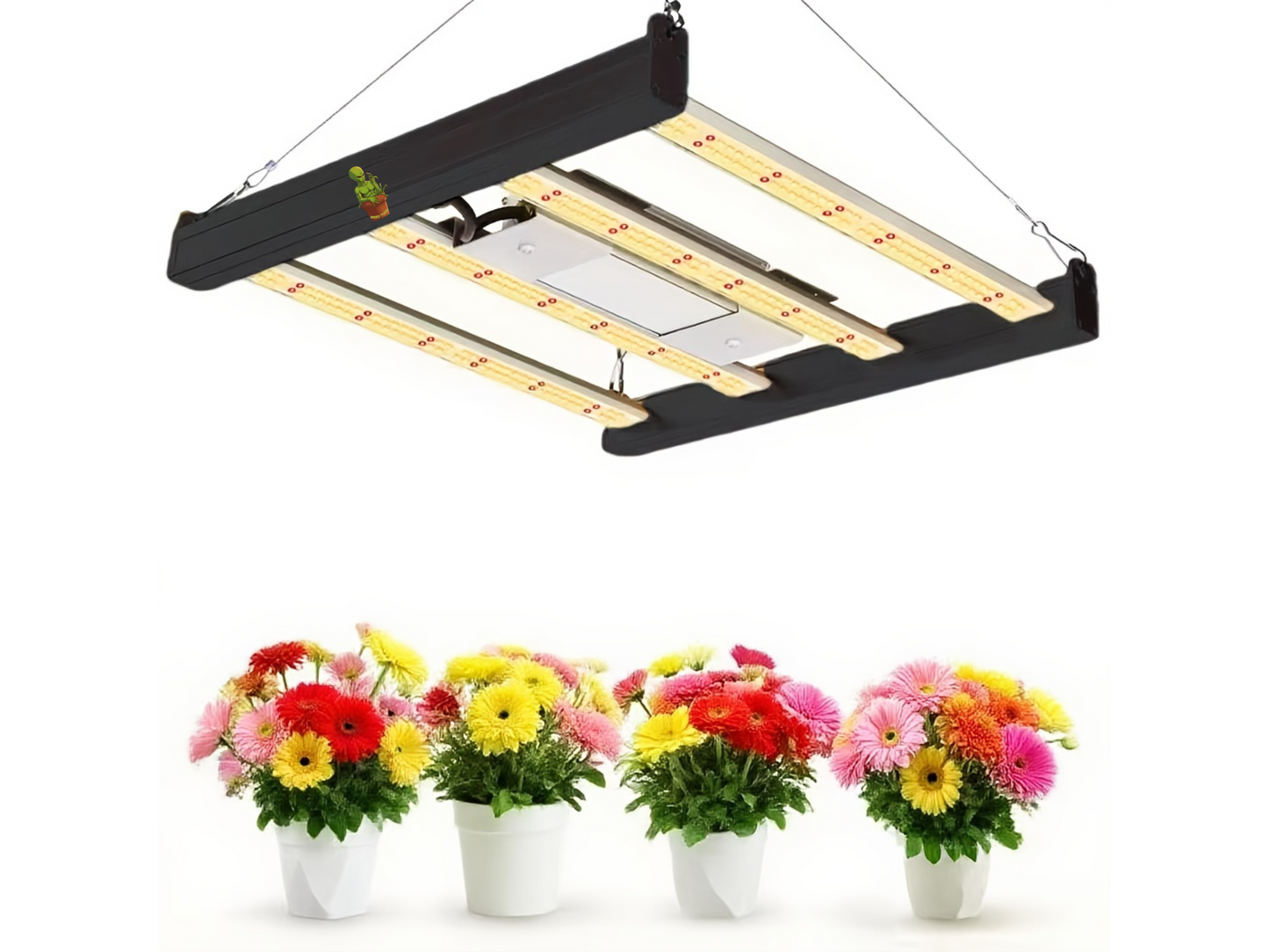 Weed Tood BM100w Bloom Beam LED Light