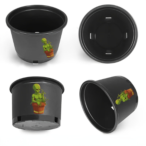 Premium Cannabis Grow Pots - Set of 10