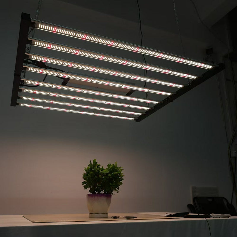 Fluorescent light fixture above a potted plant on a table in a dark room