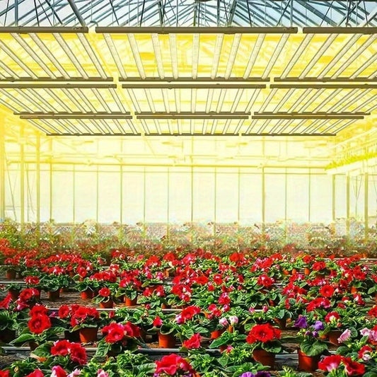 WEED TODD LS800W Bloom Beam LED Grow Light