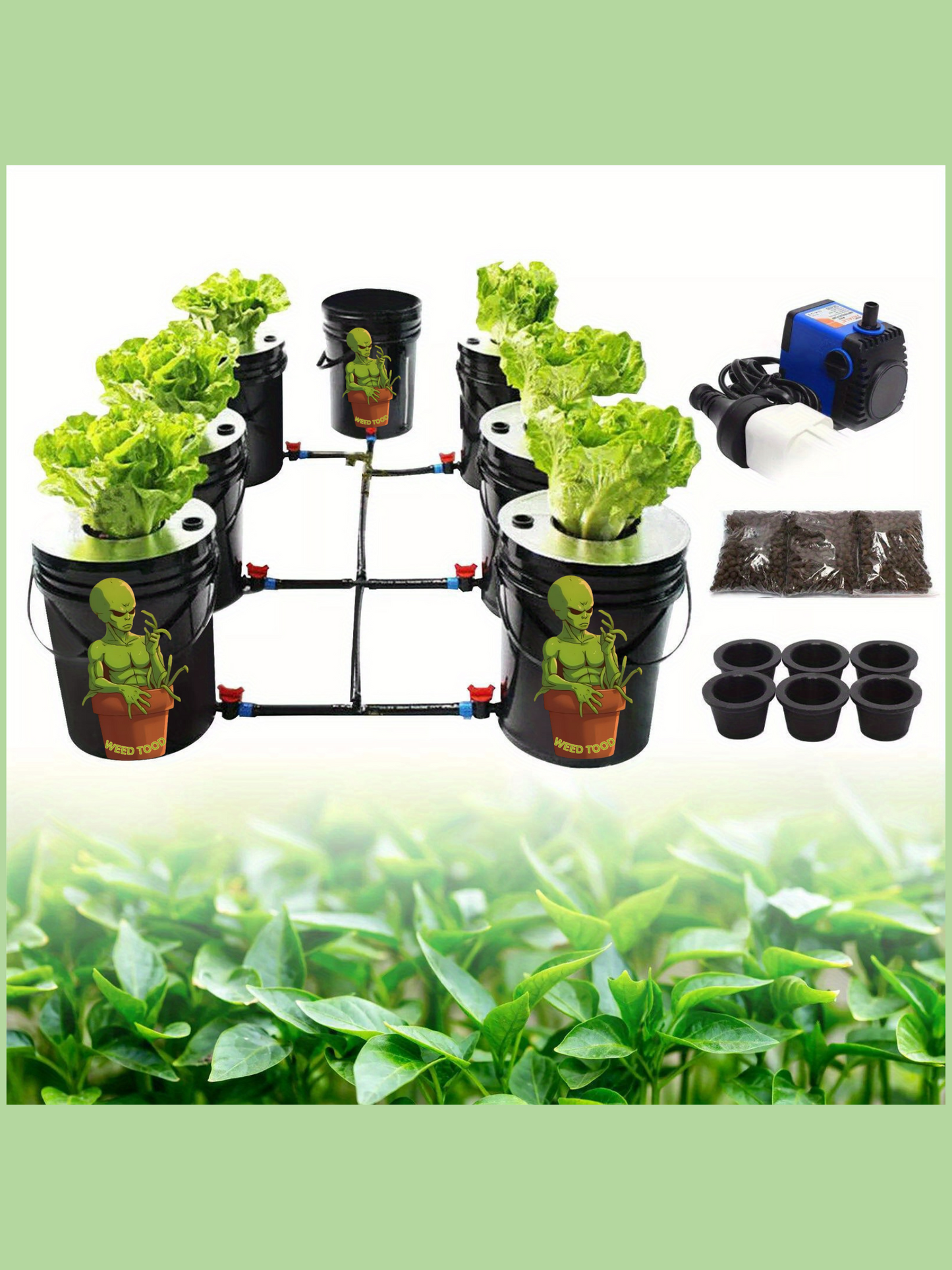 6-Pot Recirculating DWC Hydroponic Grow System