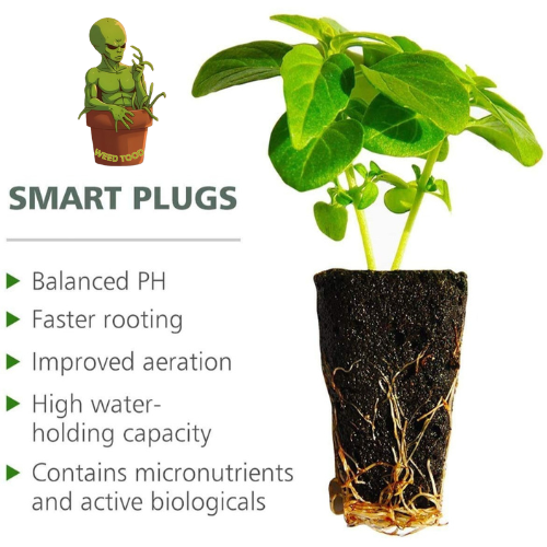 50-Pack Seed Starter Plugs