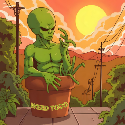 Cartoon alien in a pot labeled 'Weed Todd' with a sunset background