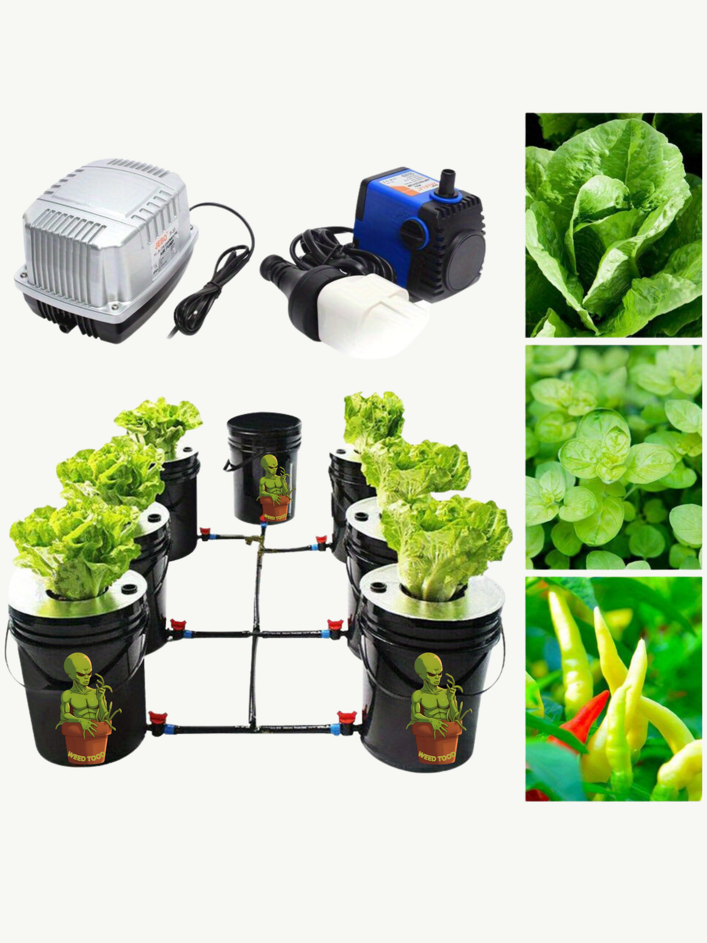 6-Pot Recirculating DWC Hydroponic Grow System