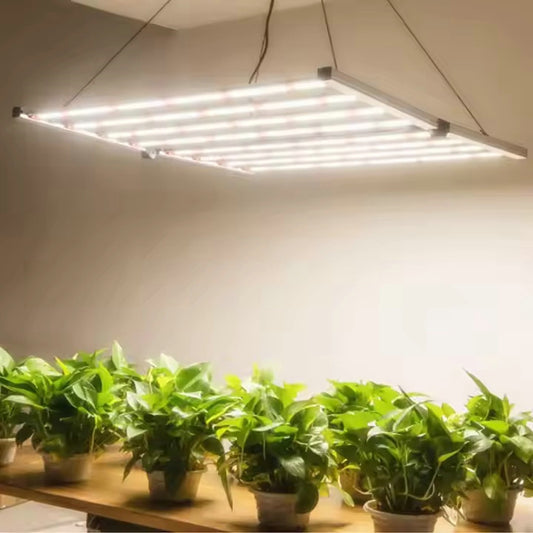 WEED TODD LS800W Bloom Beam LED Grow Light