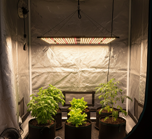 Complete Cultivator's Starter Kit